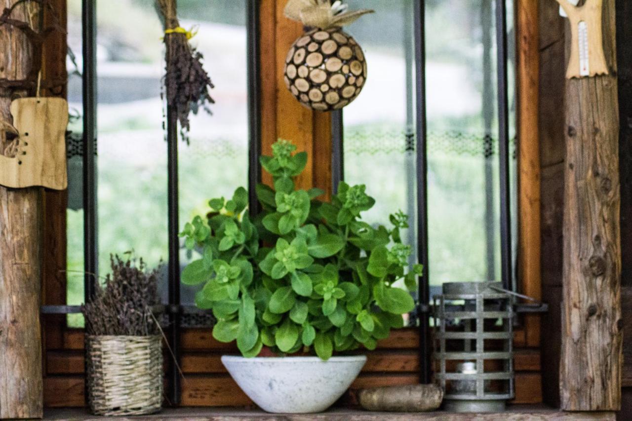 Agri-B&B Lou Col Canosio Екстериор снимка