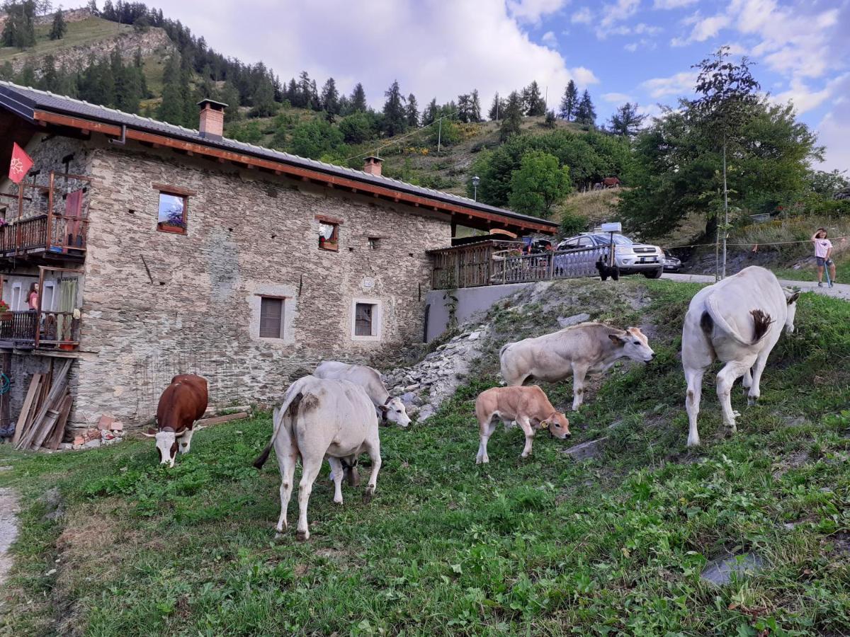 Agri-B&B Lou Col Canosio Екстериор снимка