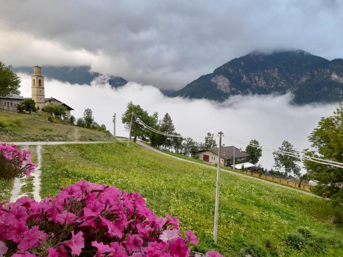 Agri-B&B Lou Col Canosio Екстериор снимка