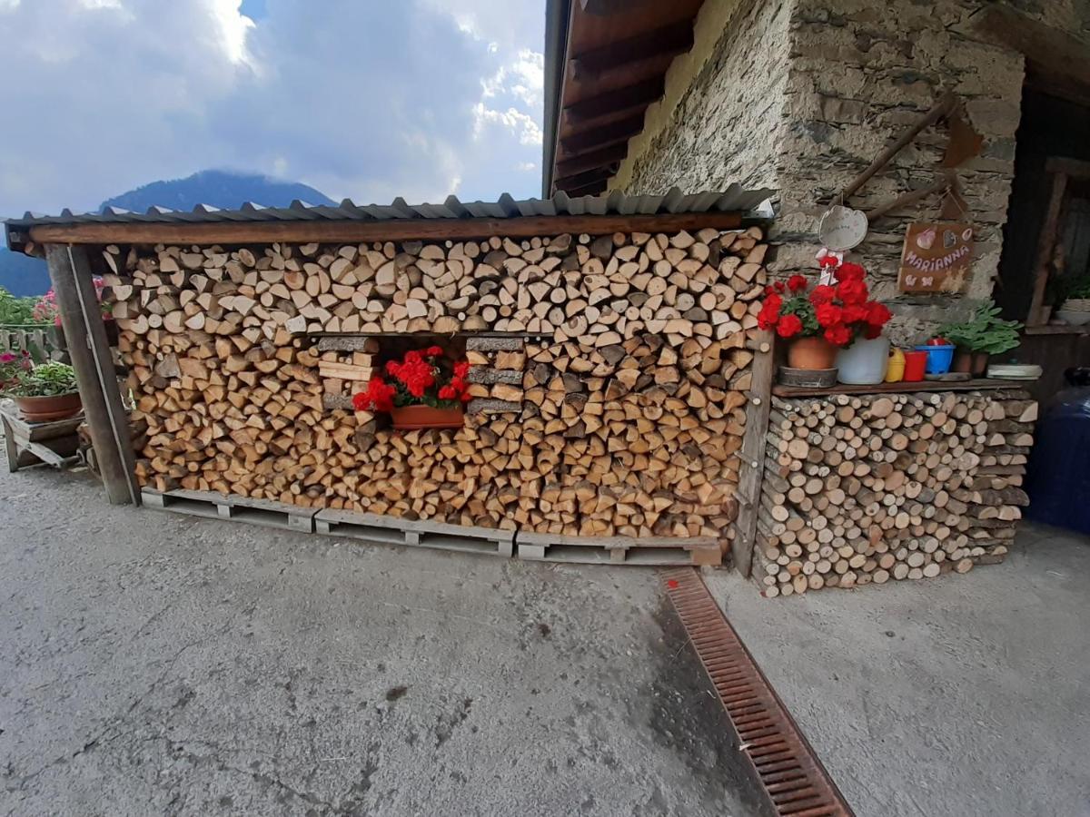 Agri-B&B Lou Col Canosio Екстериор снимка